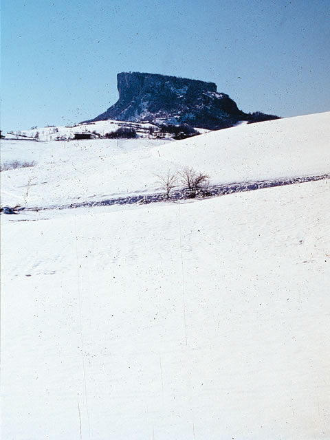 Parco Matildico