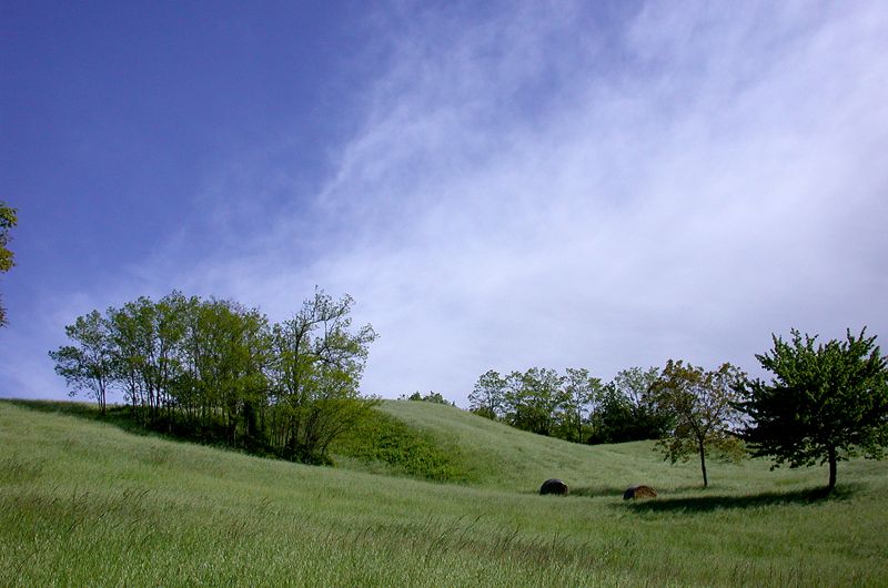 Parco Matildico