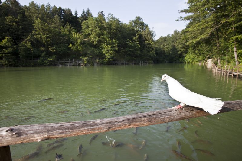 Parco Matildico