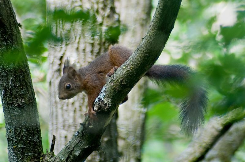 Parco Matildico