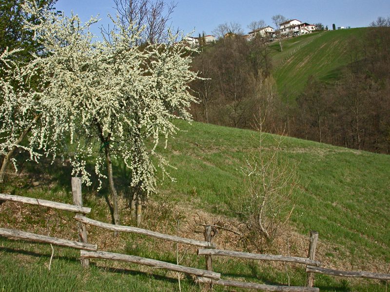 Parco Matildico