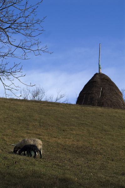 Parco Matildico