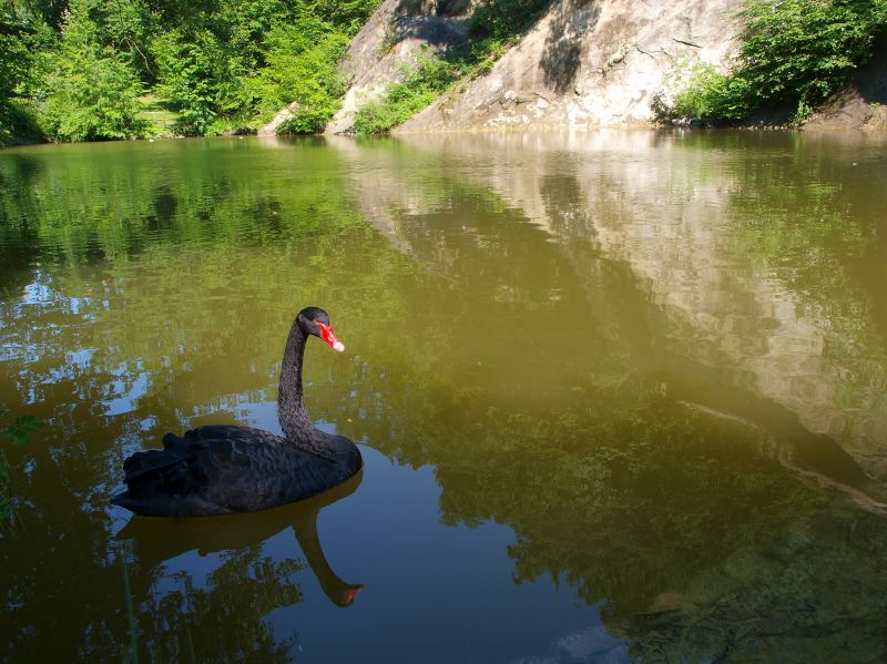 Parco Matildico