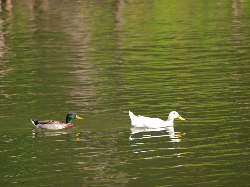 Parco Matildico