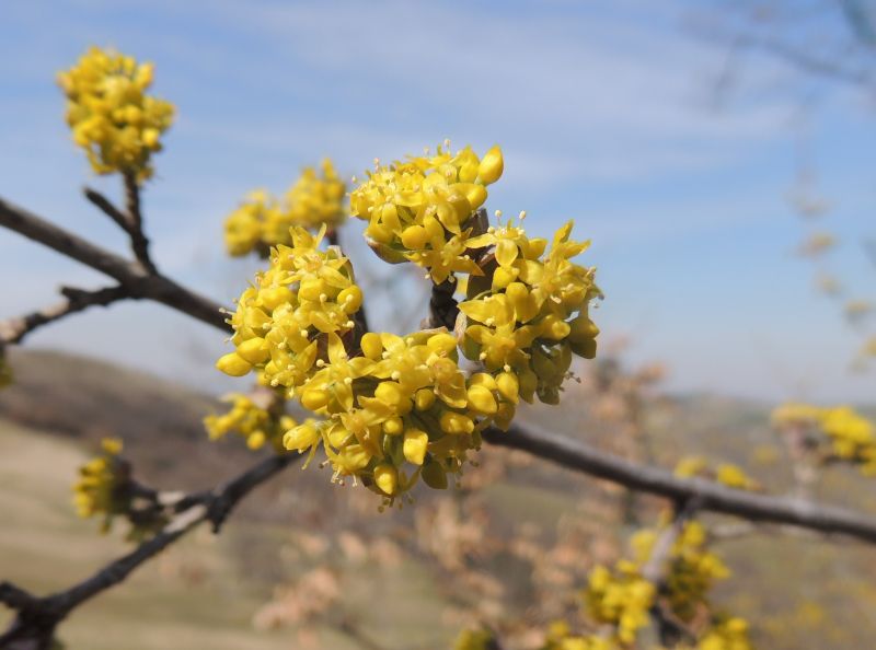 Parco Matildico